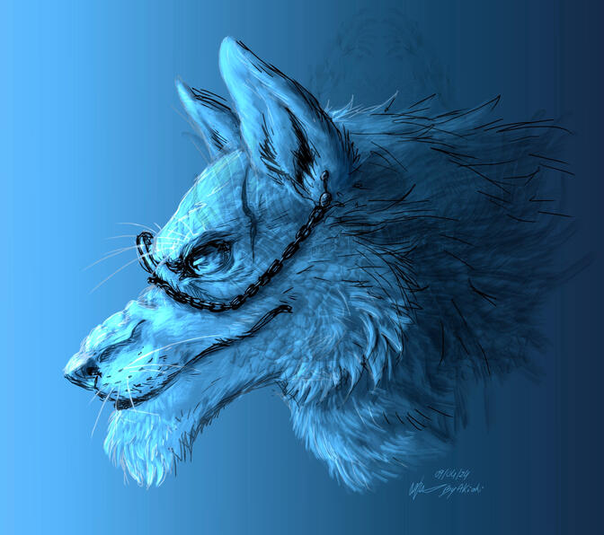 Loup + coloration du line